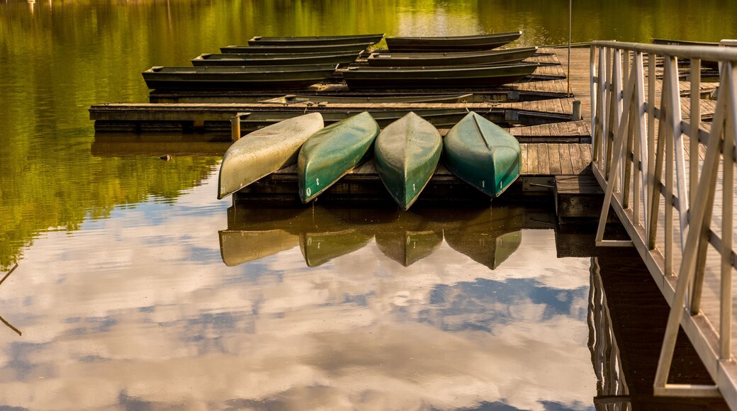 Canoes upside down on a dock on a lake