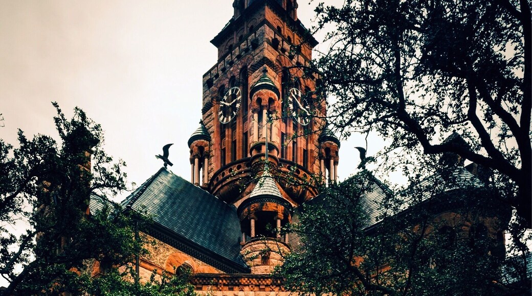 Ellis County Courthouse building in Waxahachie, Texas.