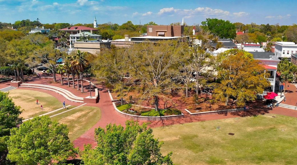 Charleston skyline from drone, South Carolina