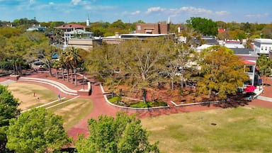 Charleston skyline from drone, South Carolina