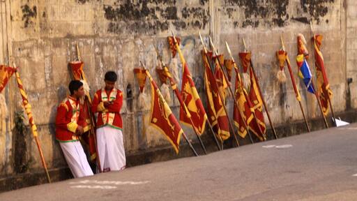 The boys waiting patiently for the poya parade to start...