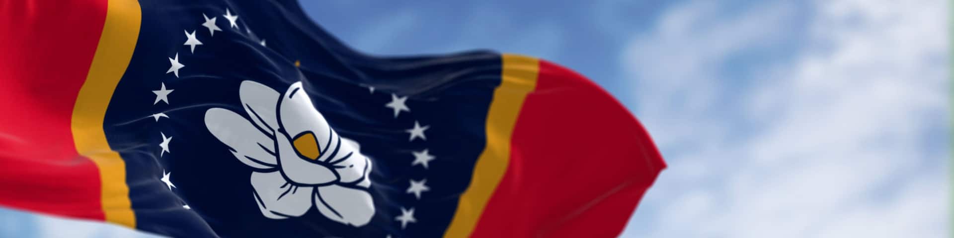 A flag with a white flower and stars against a blue background, waving in the wind.