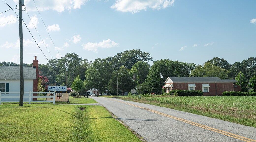 Carrollton featuring farmland and a small town or village