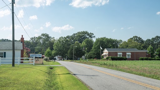 Carrollton featuring farmland and a small town or village