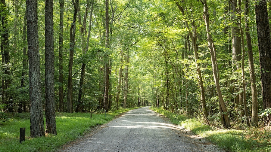 Carrollton which includes forest scenes and a garden