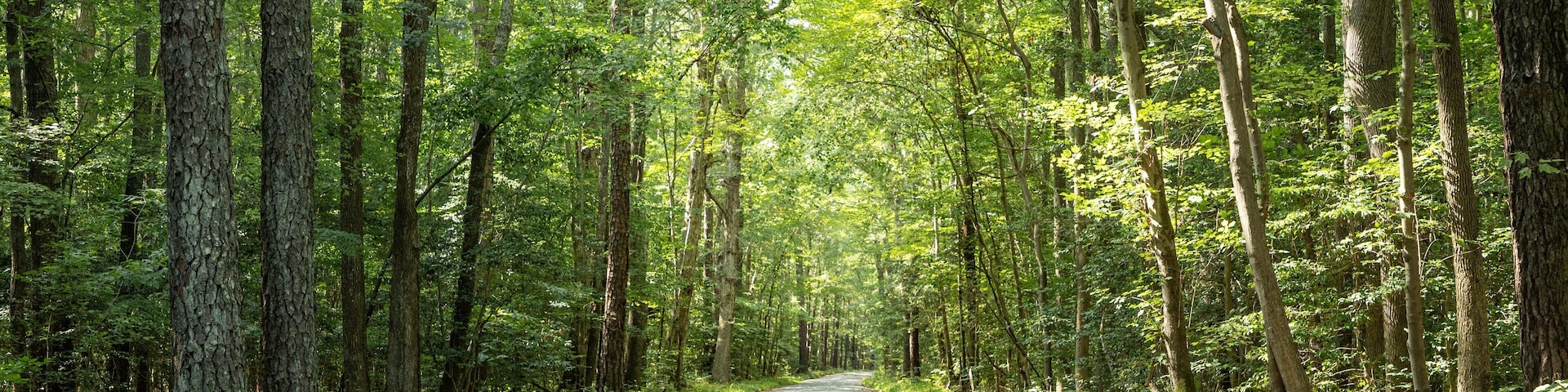 Carrollton which includes forest scenes and a garden