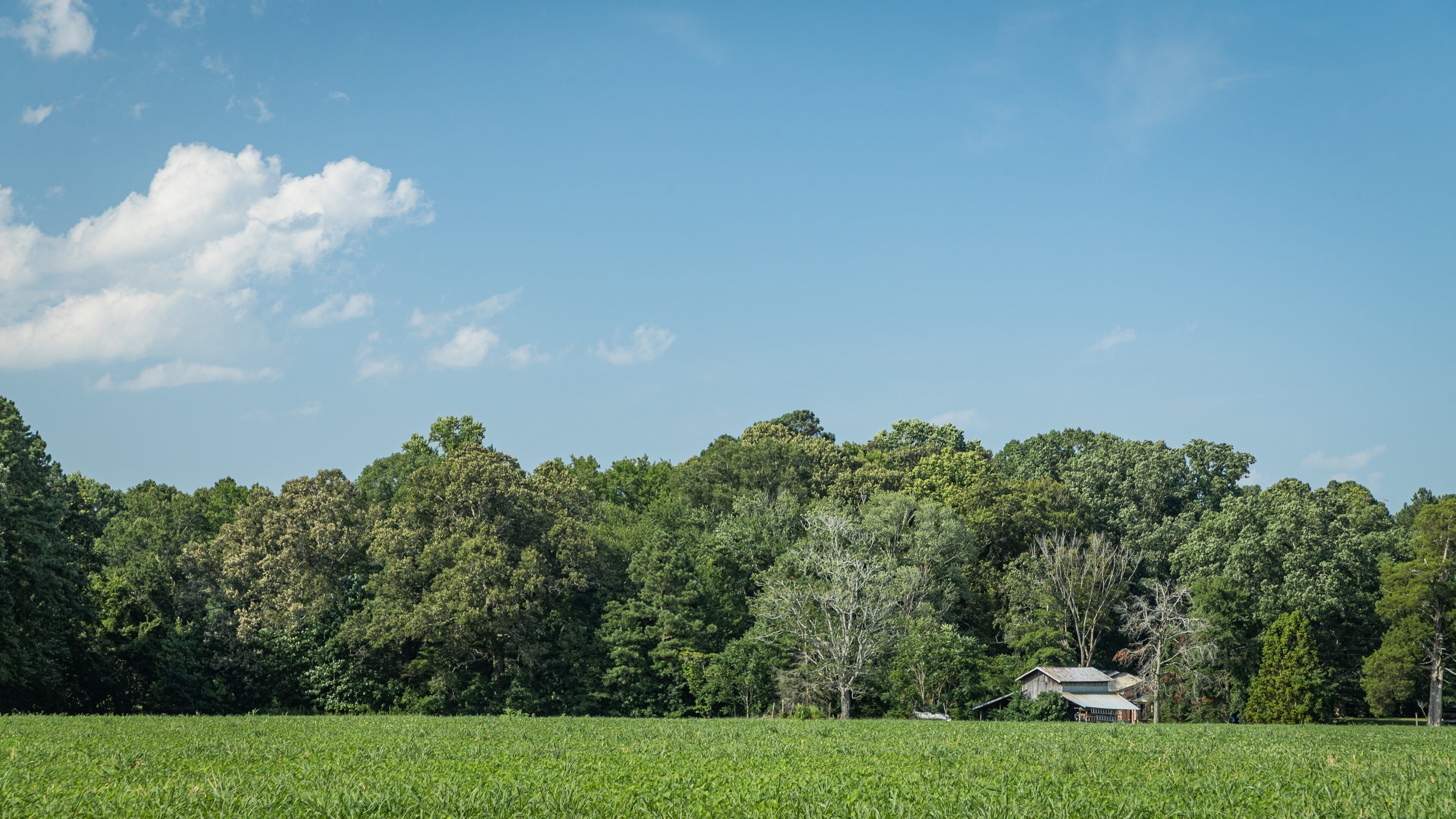 Carrollton which includes a house and farmland