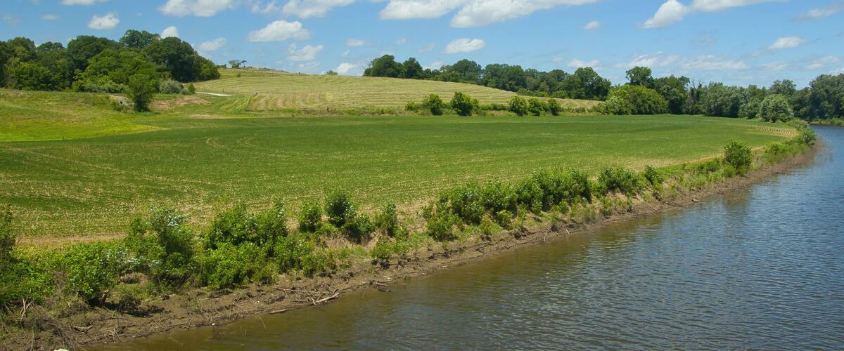 A riverbank with green fields and trees under a blue sky with clouds.