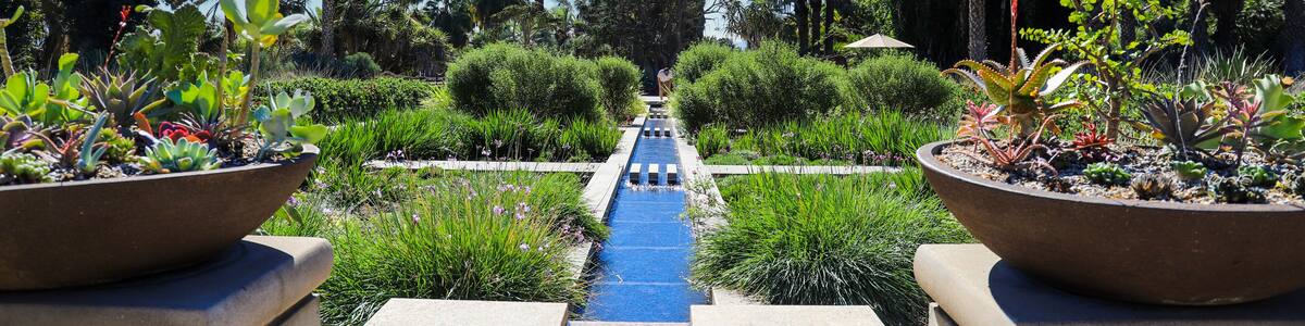 Un jardin agrémenté d’un élément aquatique, de palmiers et d’un arc-en-ciel.