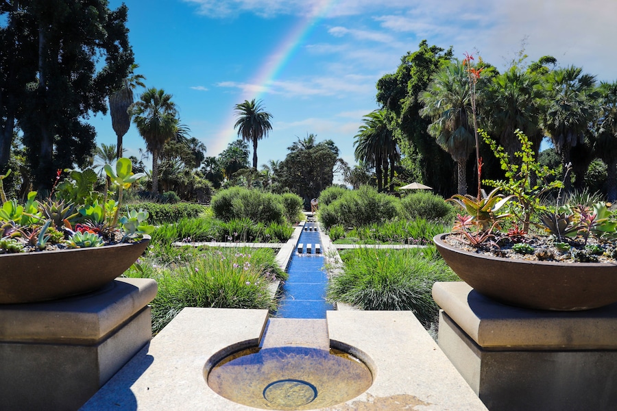 Ein Garten mit Wasserspiel, Palmen und einem Regenbogen.