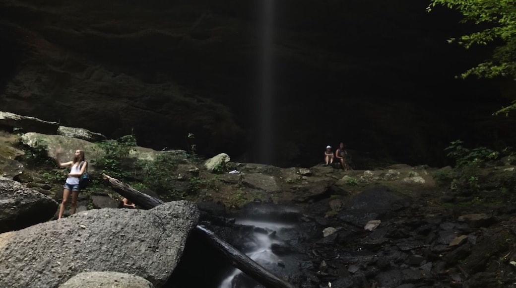 Time to take a selfie...my daughter at the small sometimes dry waterfall in Montevallo, AL
This Falls is not well marked. You need to know where you are going before taking the hike from the road.