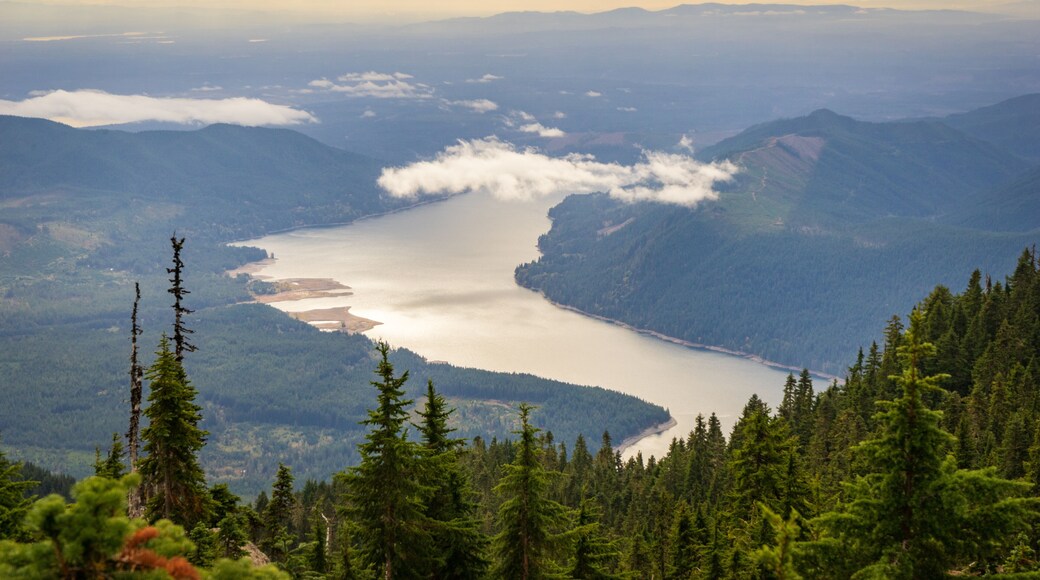 庫什曼湖森林保護區