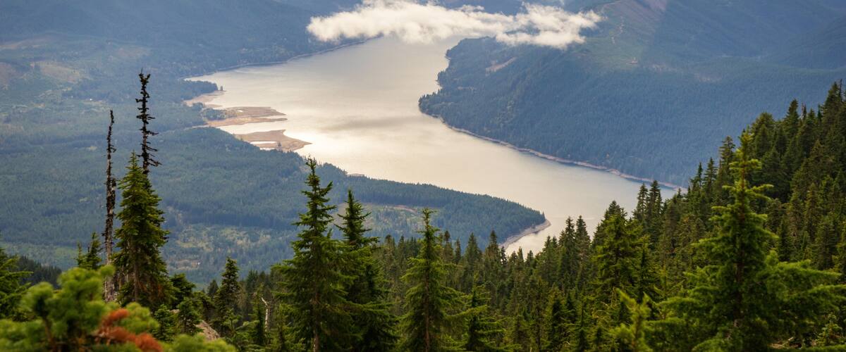 Lake Cushman from Mount Ellinor in the Olympic National Forest in Washington State