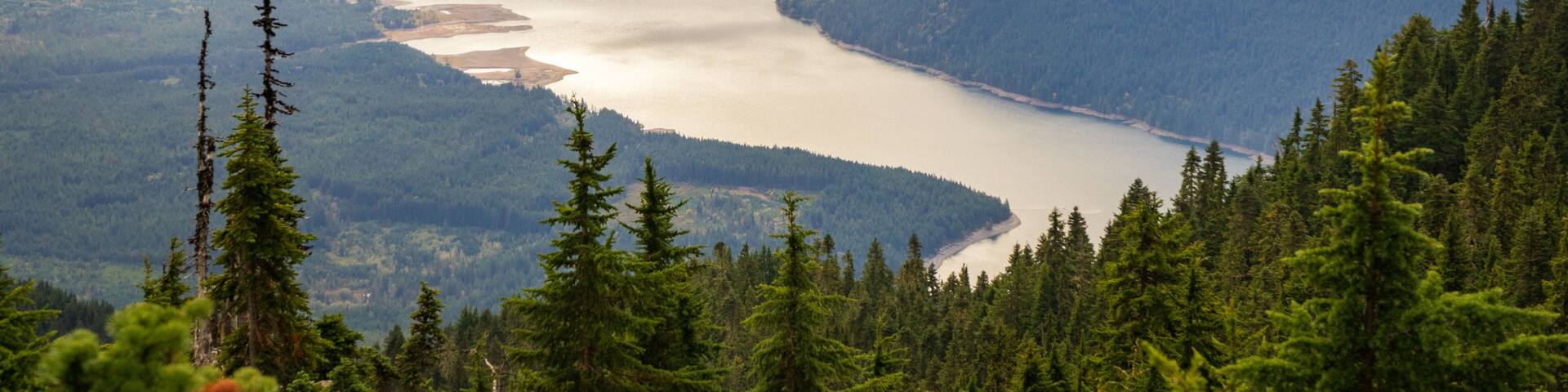 Lake Cushman from Mount Ellinor in the Olympic National Forest in Washington State