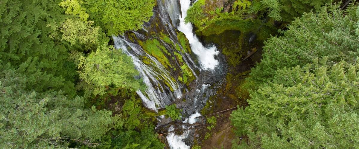 Seen from a bird's eye perspective, the impressive Panther Creek Falls flows through the Gifford Pinchot National Forest in Washington. This beautiful area is not far from the Columbia River Gorge.