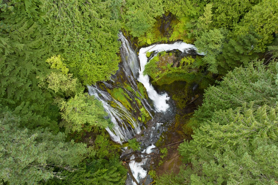 A waterfall cascading through a dense forest.
