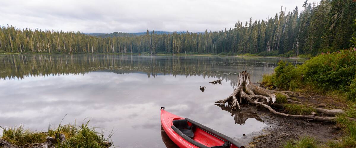 Red kayak moored at Takhlakh Lakeshore in forest