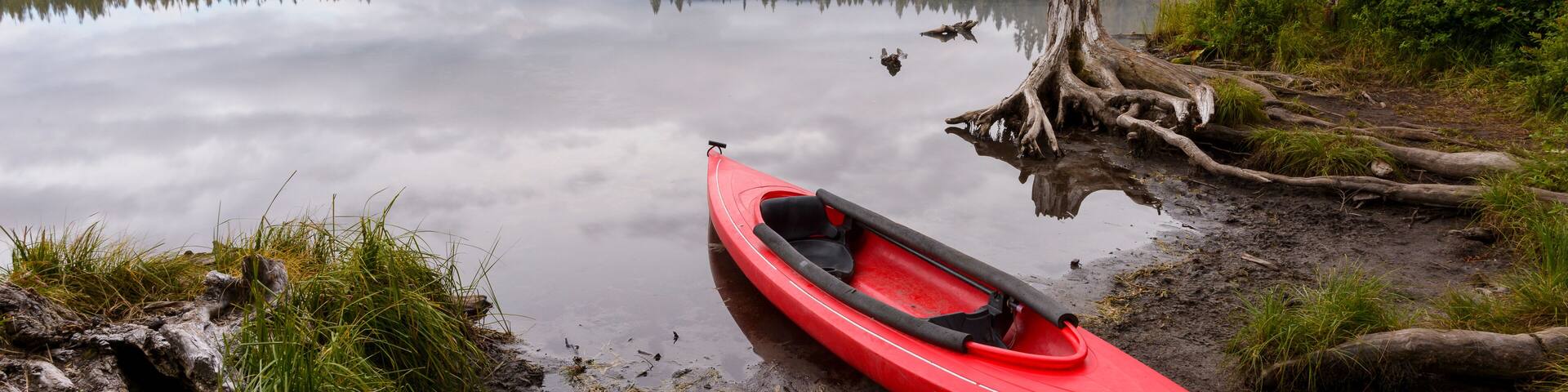 Red kayak moored at Takhlakh Lakeshore in forest