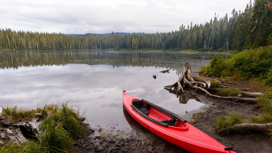 Red kayak moored at Takhlakh Lakeshore in forest
