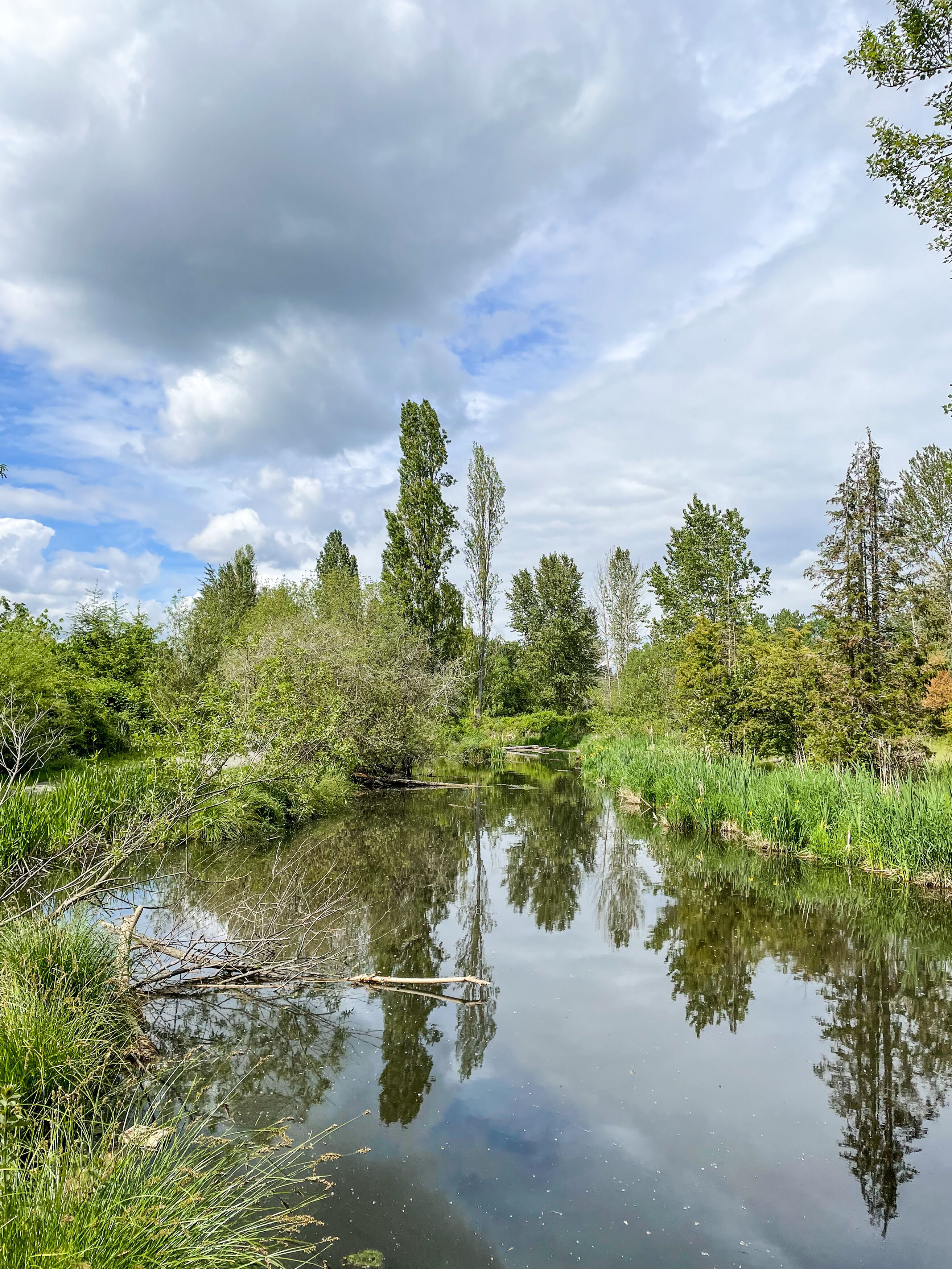 Union Bay Natural Area