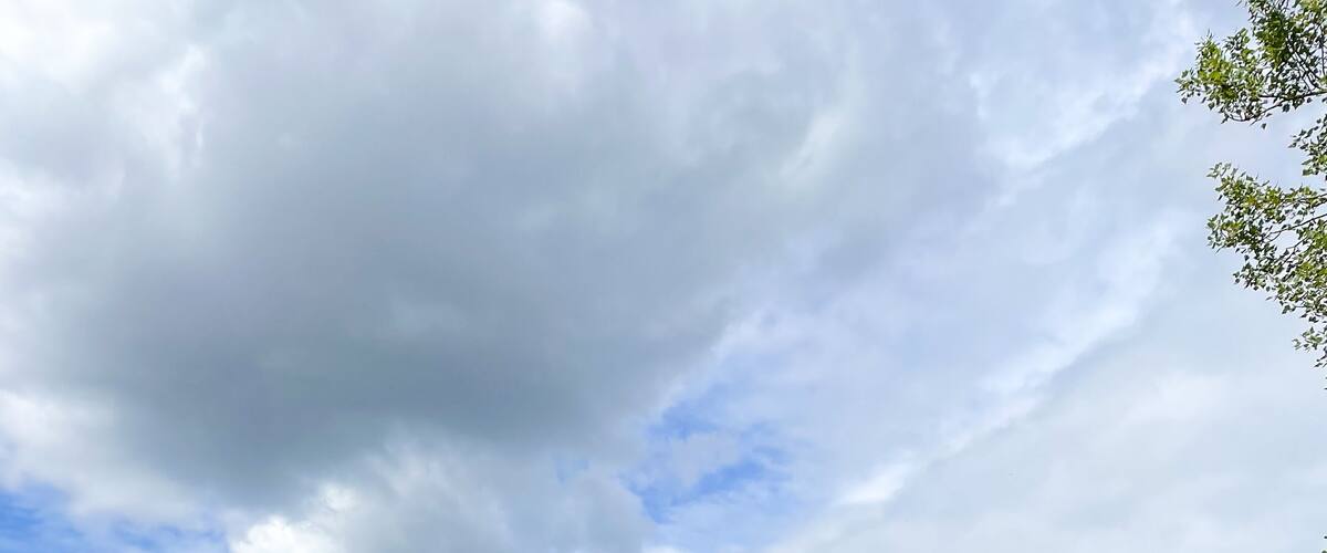 Union Bay Natural Area