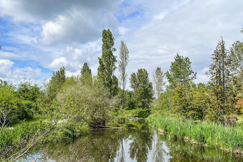 Un río tranquilo rodeado de abundante vegetación y altos árboles bajo un cielo parcialmente nublado.