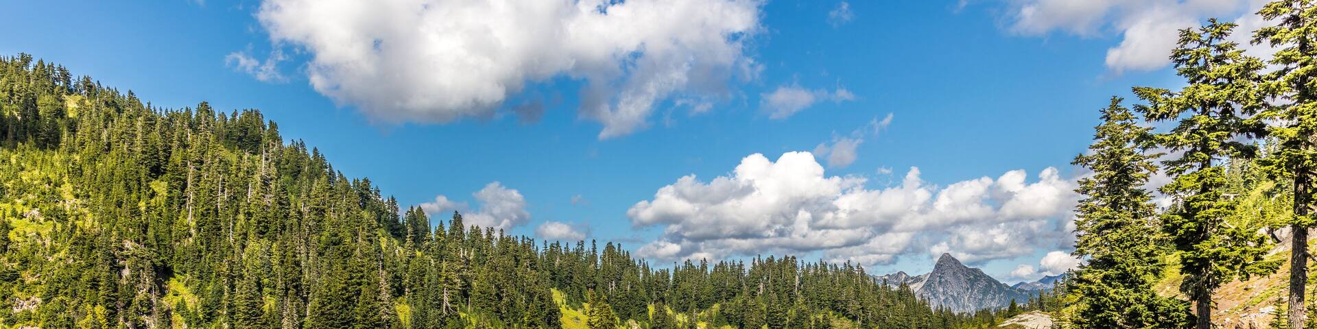 Un lago rodeado de un bosque denso y montañas bajo un cielo azul despejado.