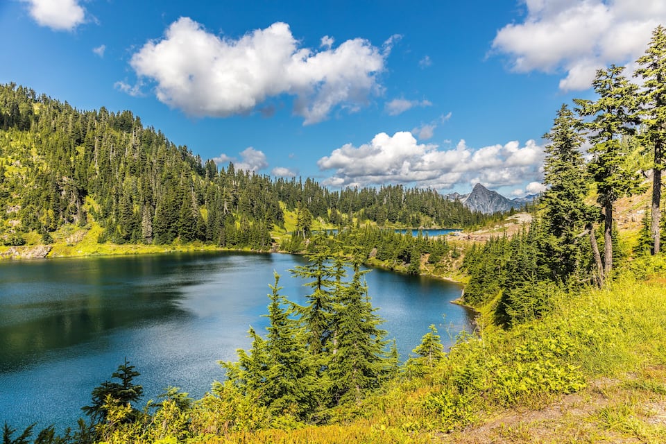 Un lago rodeado de un bosque denso y montañas bajo un cielo azul despejado.