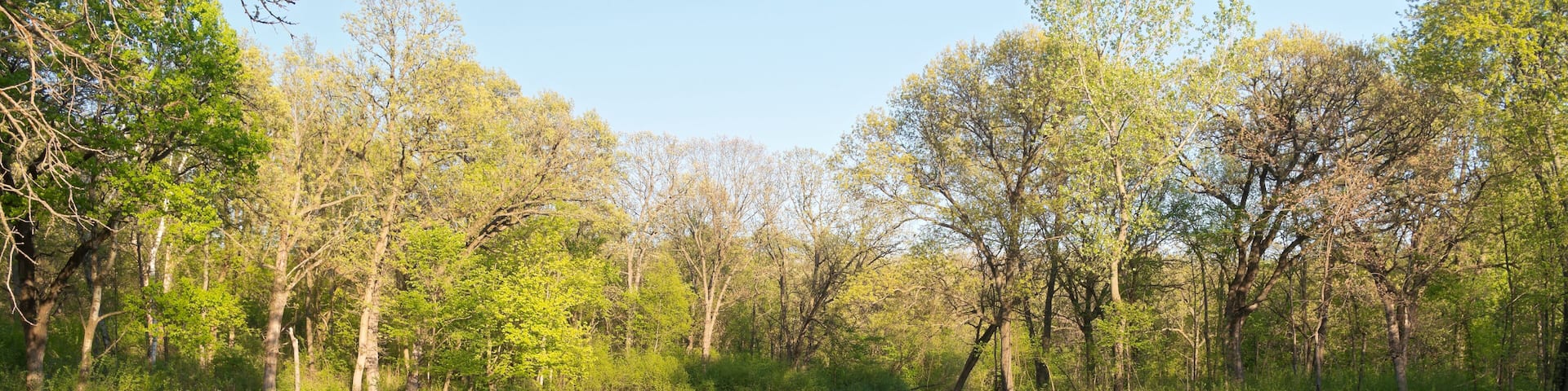 marshes of battle creek regional park in saint paul minnesota