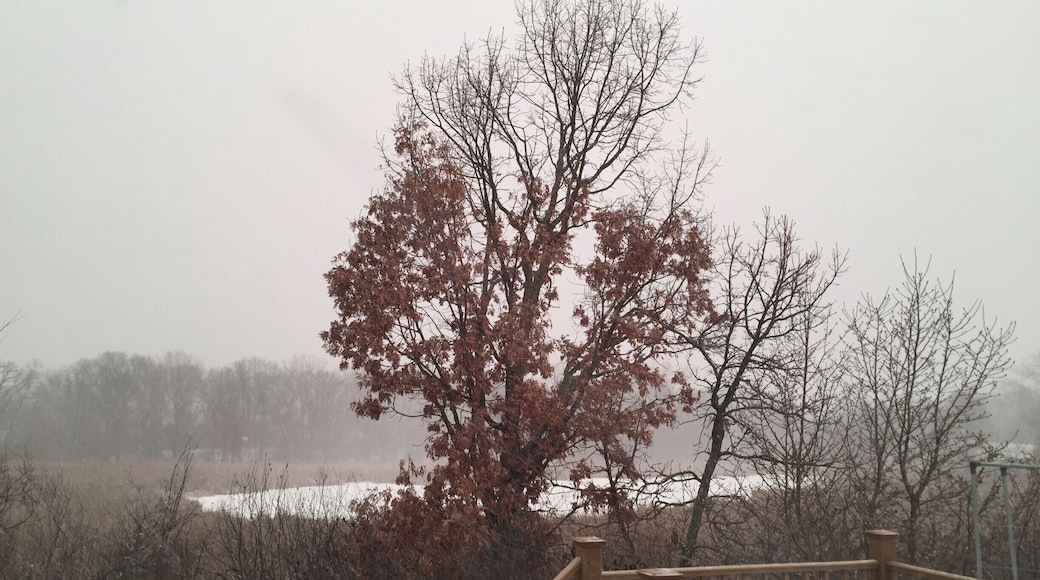 A view that is relaxing and beautiful.