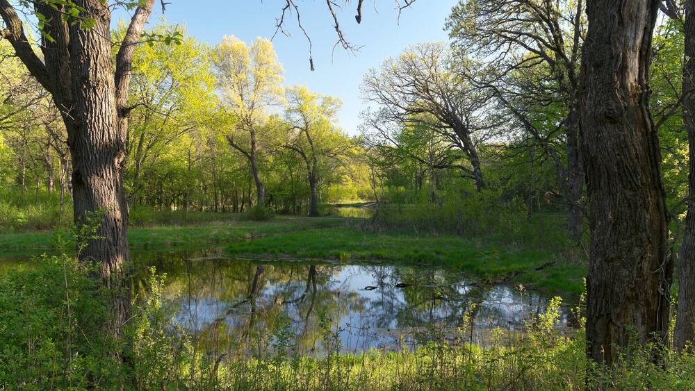 pond and forest of battle creek regional park in saint paul minnesota