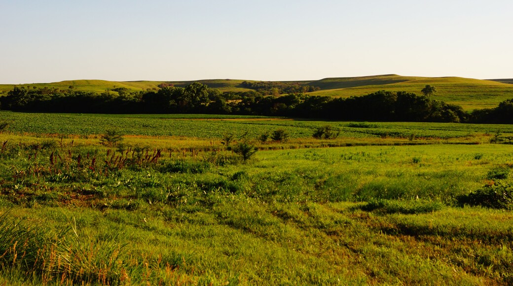 Kansas hills and pasture land