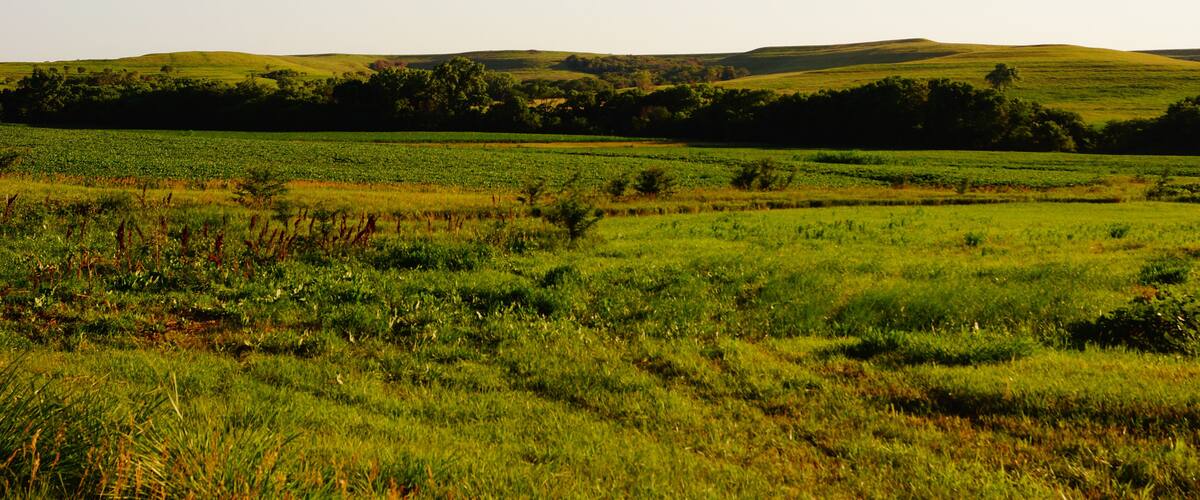 Kansas hills and pasture land