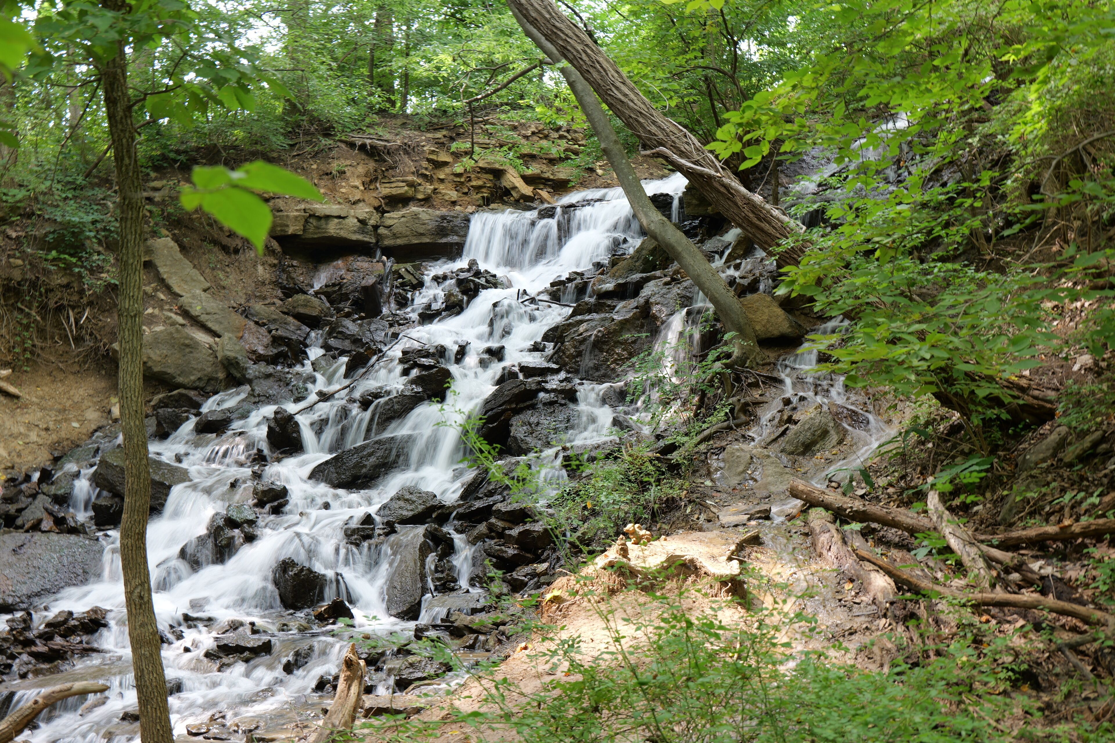 Waterfall at Parkville Nature Sanctuary
