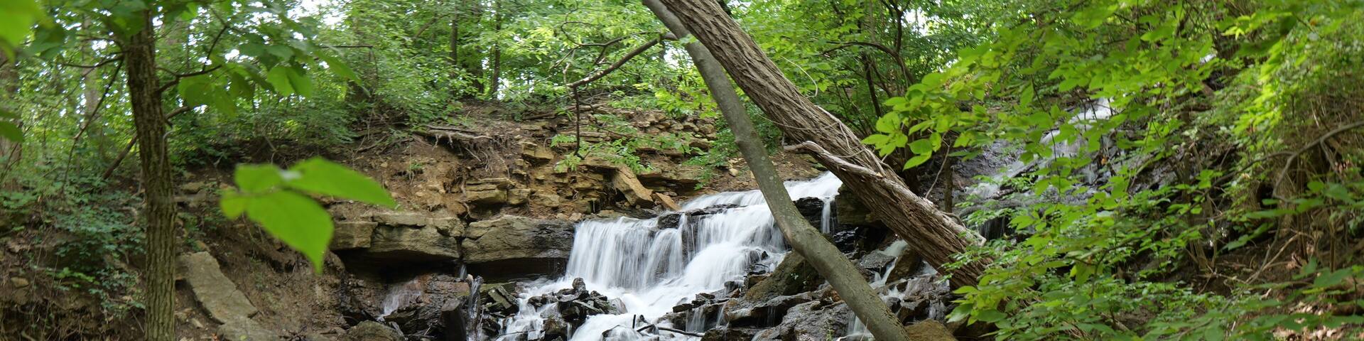 Waterfall at Parkville Nature Sanctuary