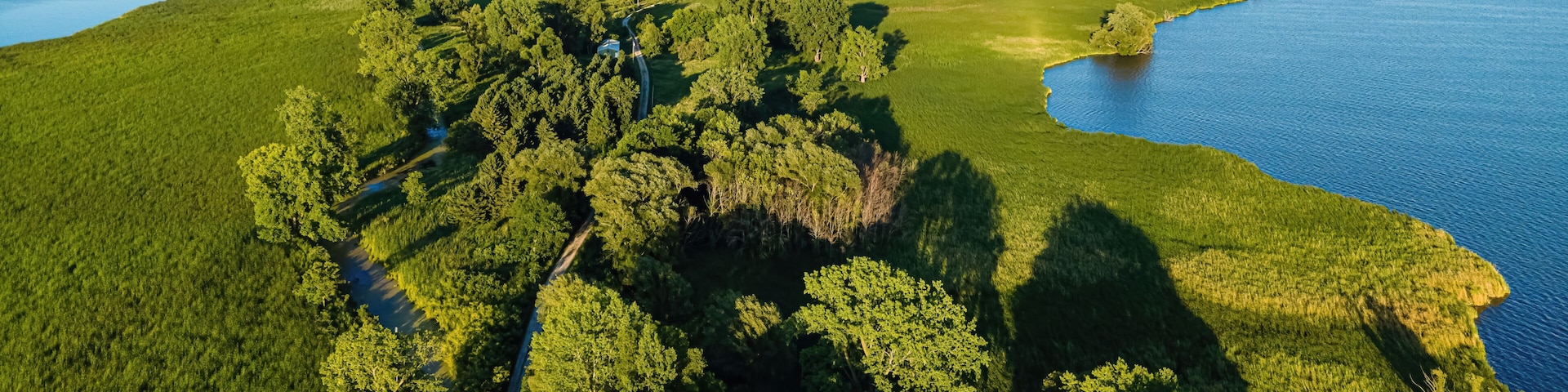 Une vaste étendue d’eau entourée d’une forêt dense et bordée d’une route sinueuse.