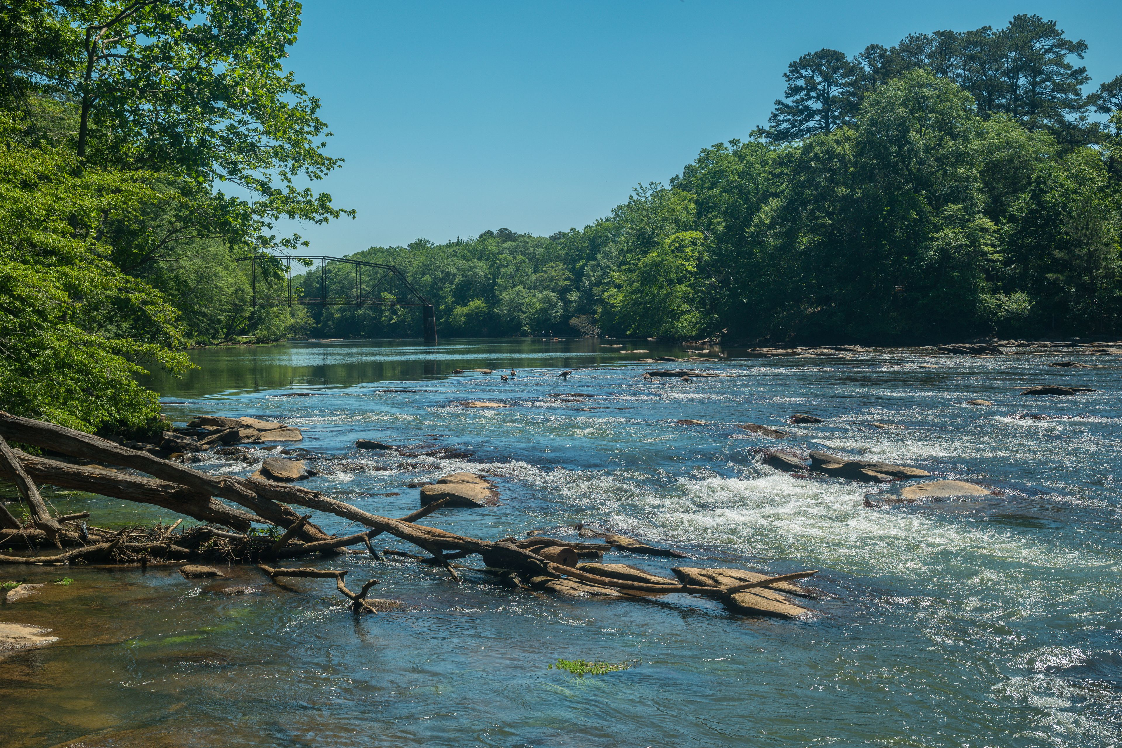 A river with clear water, surrounded by dense green forest and a metal bridge.
