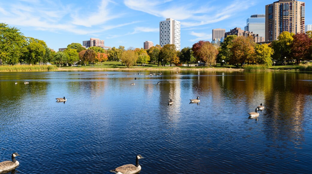 ลอริ่งปาร์ค