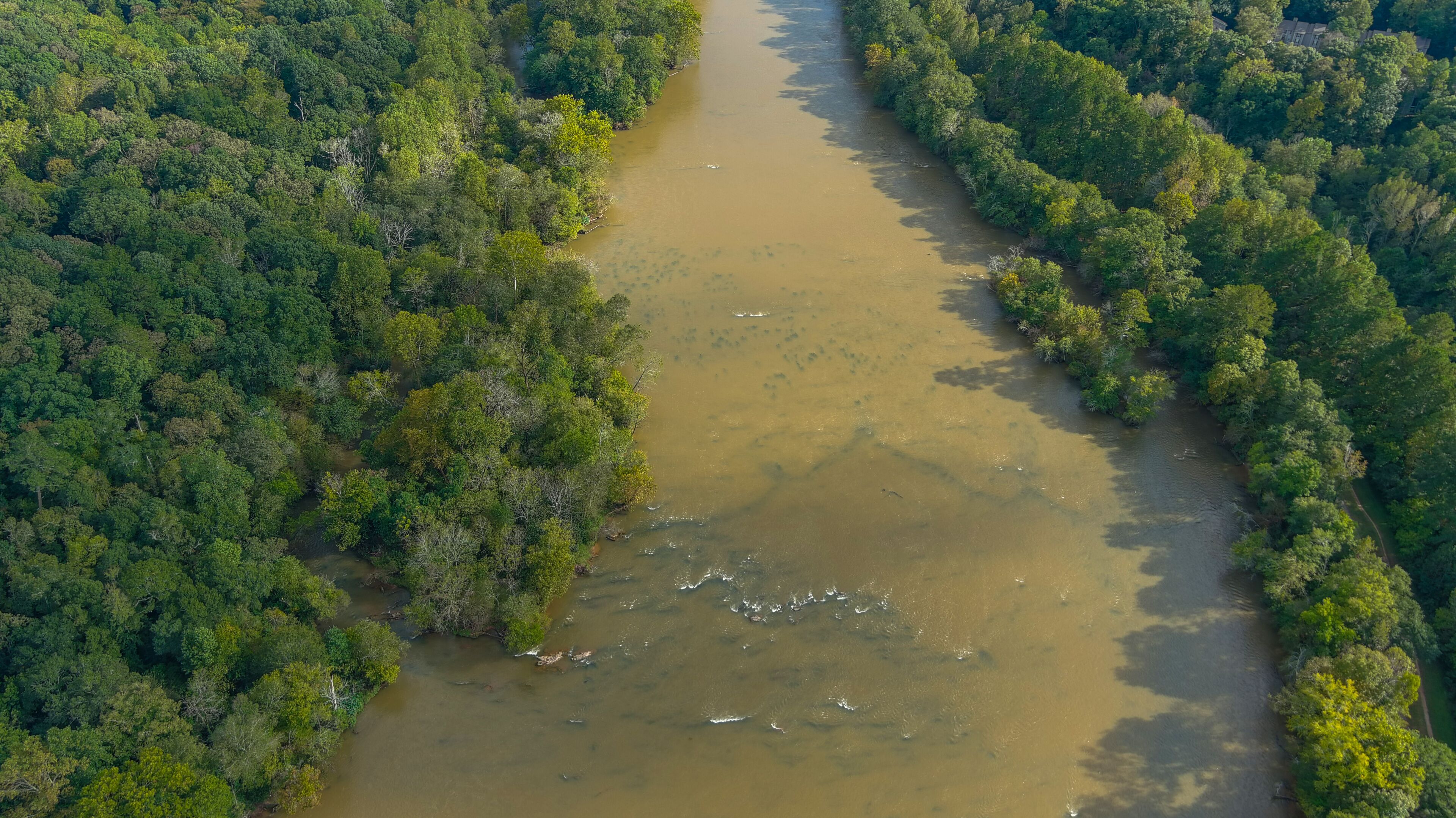 a majestic aerial shot of the silky brown water of the Chattahoochee river with lush green and autumn colored trees along the banks of the river at Cochran Shoals trail in Marietta Georgia