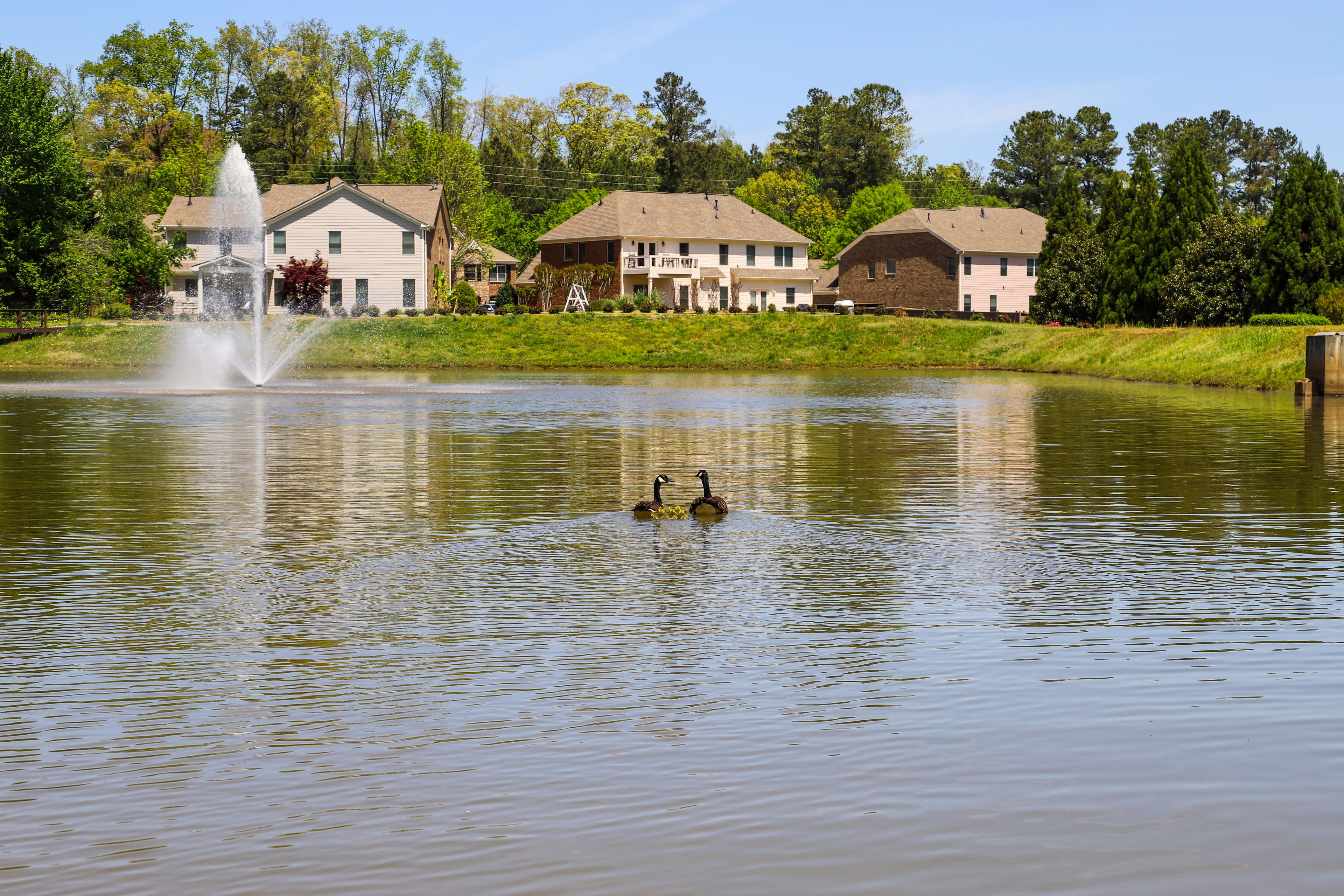 A lake with a fountain, surrounded by houses and trees.