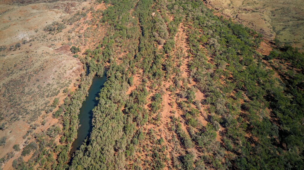 Amazing inland River on the edge of the great Australian desert, Mavic pro.
·
·
·
·
#desert #dronefly #aussie #dronelife #aerialphotography #desertliving #desertsunset #dronestagram #desertlife #puppy #dronegear #travel #desertplants #aussiesofinstagram #droneoftheday #dji #desertphotography #desertracing #australianshepherdworld #dronephotography #australianshepherdsofig #australianshepherdsofinstagram #drone #deserts #drones
#aboveitall #bvsquad
