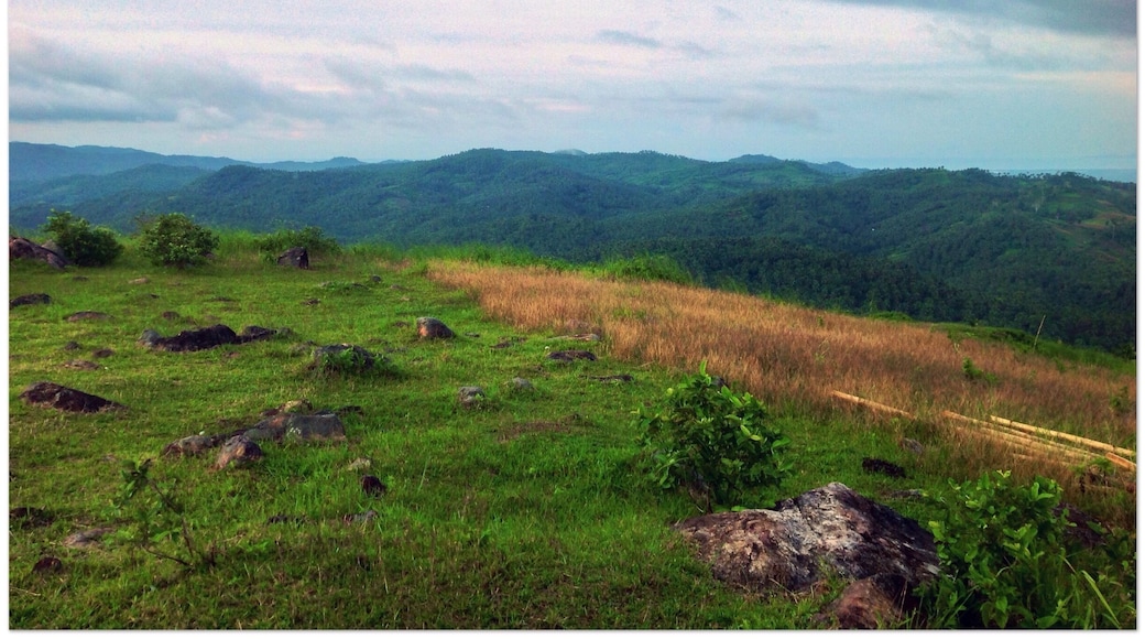 Fresh air that continously flows while you enjoy the city over looking
