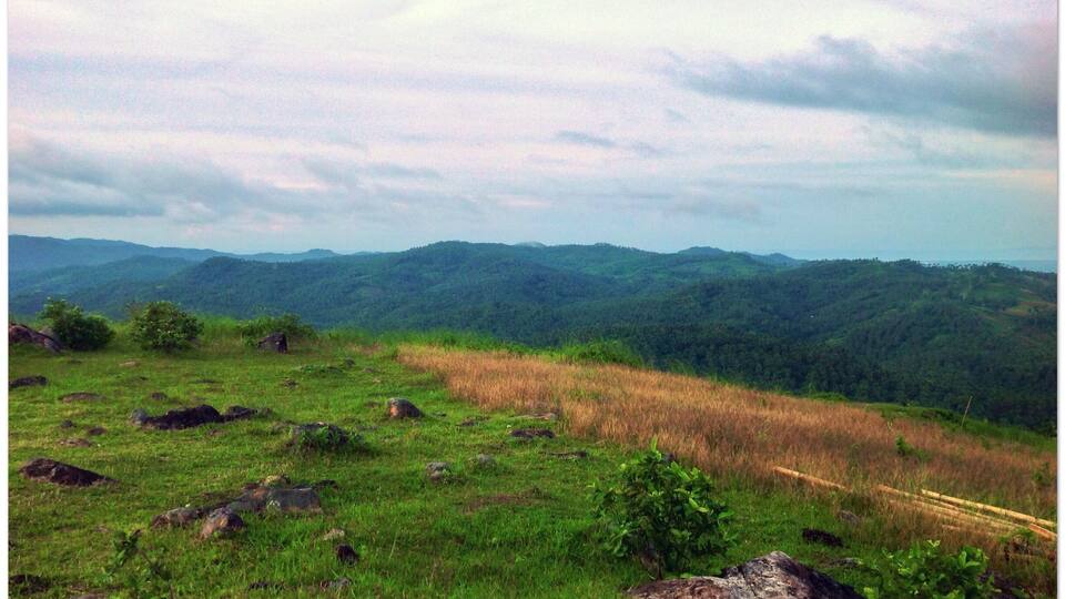 A grassy hillside with scattered rocks and a distant forested mountain range under a cloudy sky.