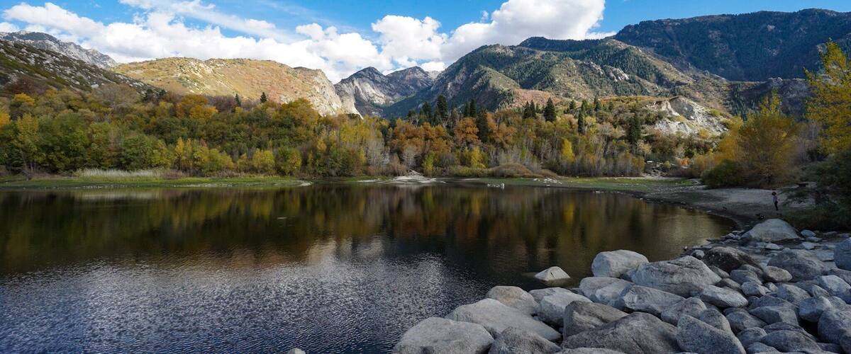 Little hike uphill and I was presented with this.