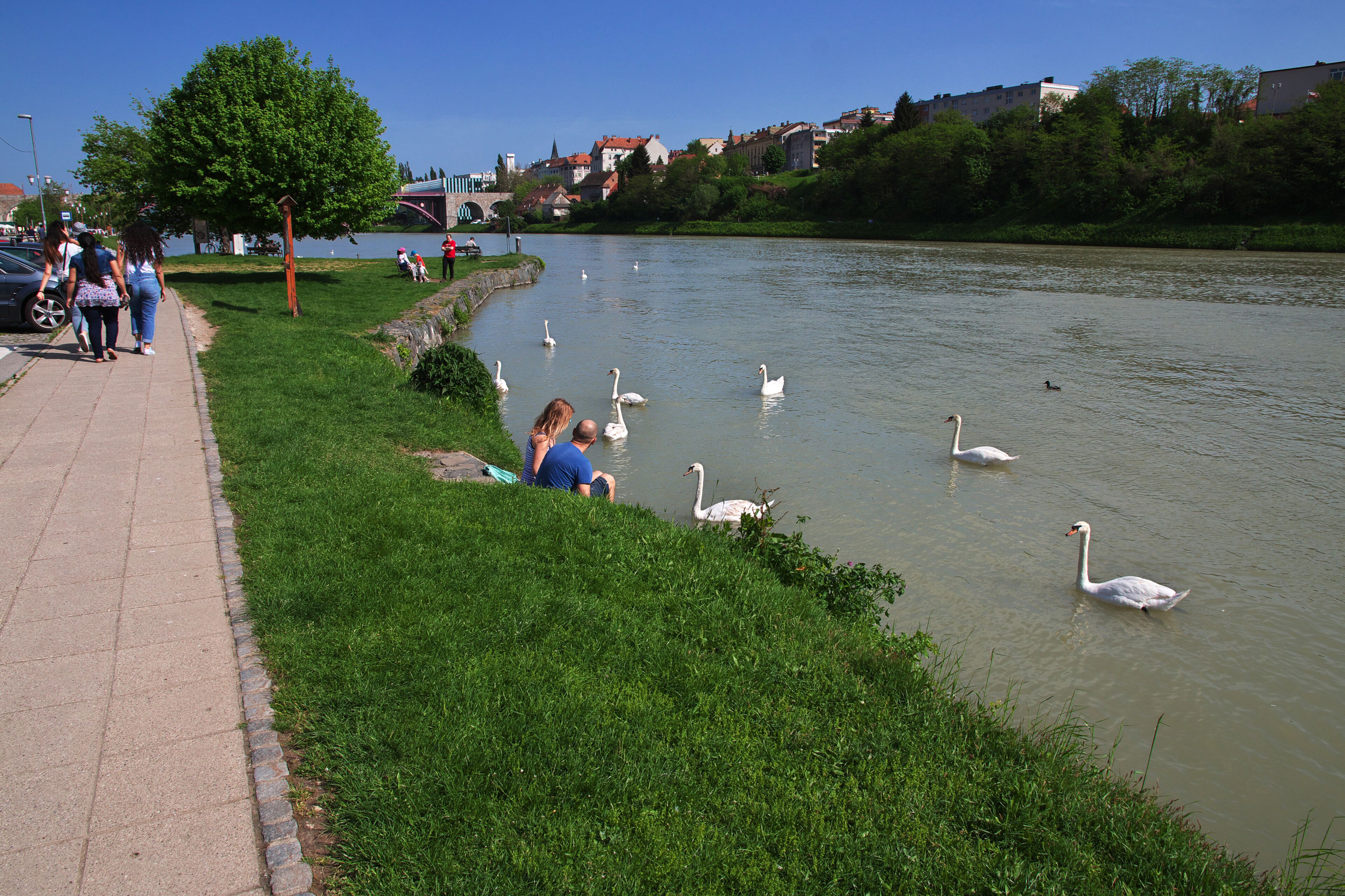 Maribor