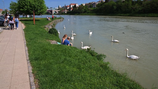 Maribor