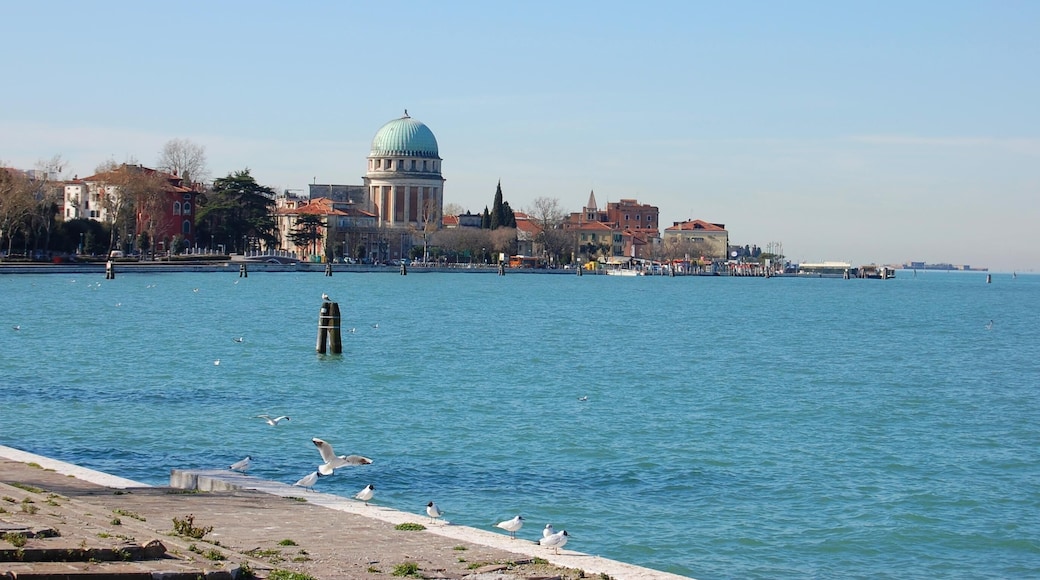 Lido di Venezia