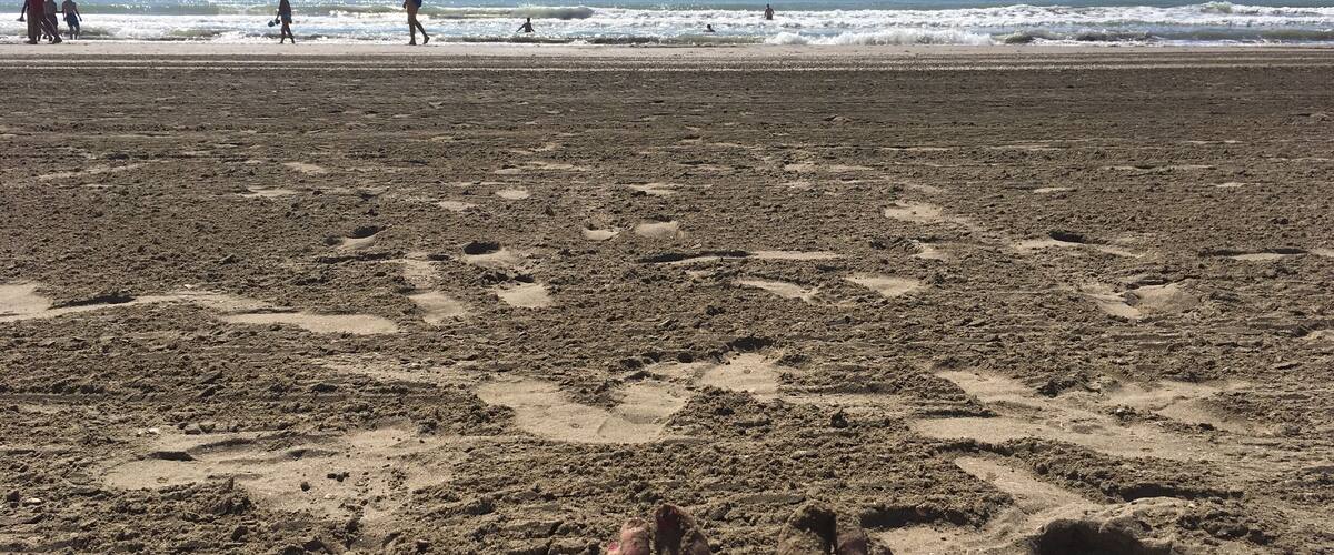 A worthwhile escape from the bustle of Venice.