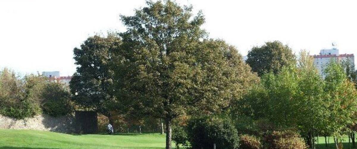 Liberton Golf Club course Moredun multis in the background.