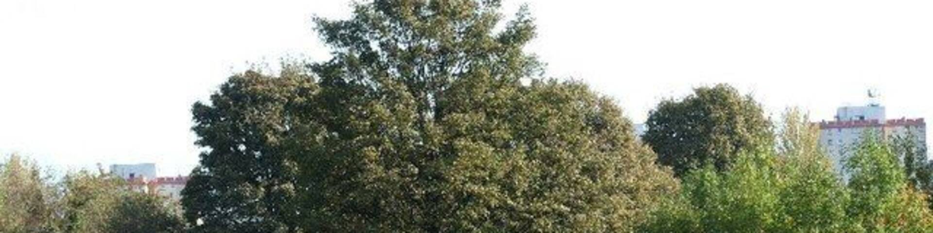 Liberton Golf Club course Moredun multis in the background.